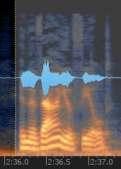 Learning a reverb profile